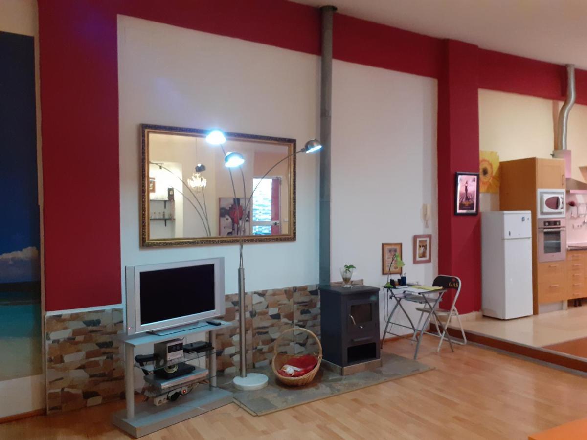 Loft Centrico Y Confortable ヘレス エクステリア 写真